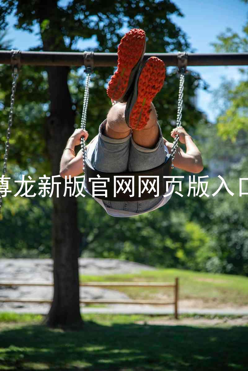 尊龙新版官网网页版入口